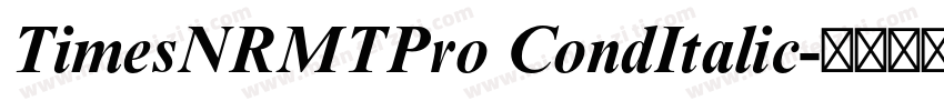 TimesNRMTPro CondItalic字体转换